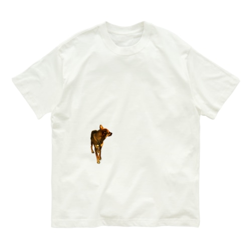 いぬとさんぽ Organic Cotton T-Shirt