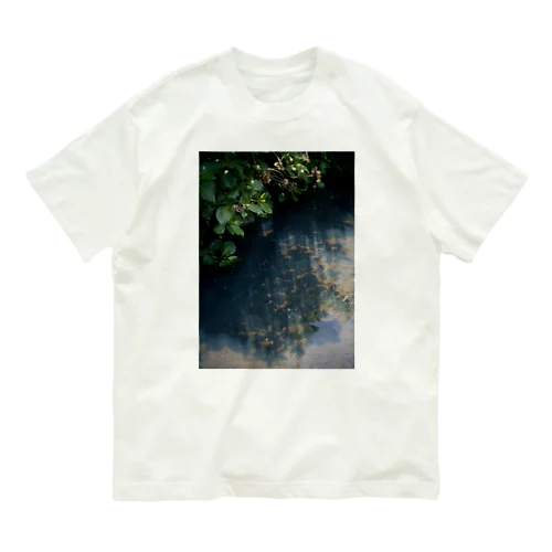 え Organic Cotton T-Shirt