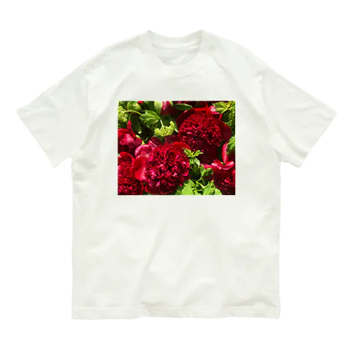 オブしゃくやく Organic Cotton T-Shirt