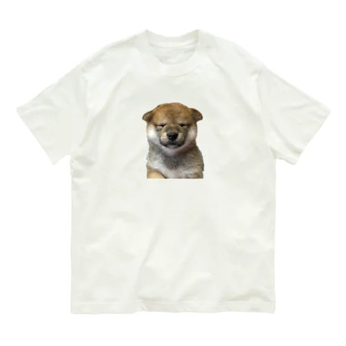 柴犬　子犬　Tシャツ Organic Cotton T-Shirt