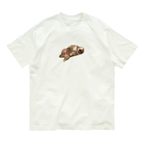 柴犬　子犬　寝顔 オーガニックコットンTシャツ