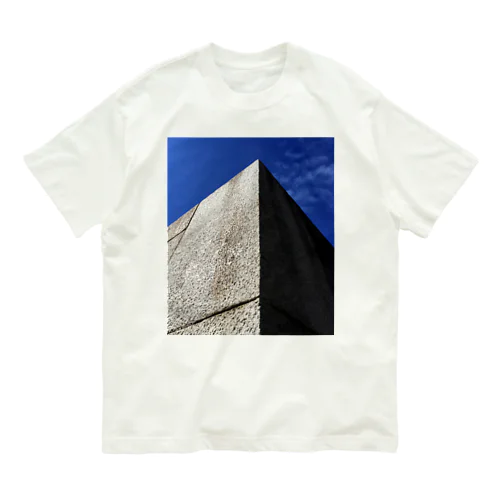 石垣の鋭角と鈍角［kaerukova］ オーガニックコットンTシャツ