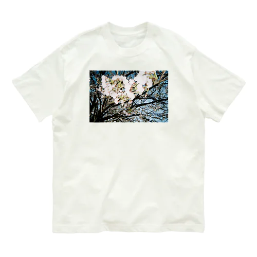 sakura オーガニックコットンTシャツ