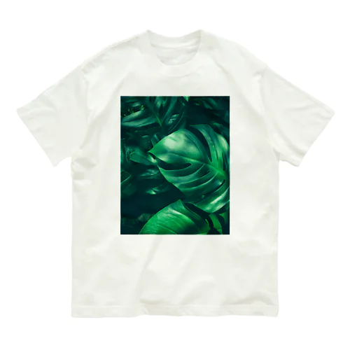 Tidewater Green Organic Cotton T-Shirt