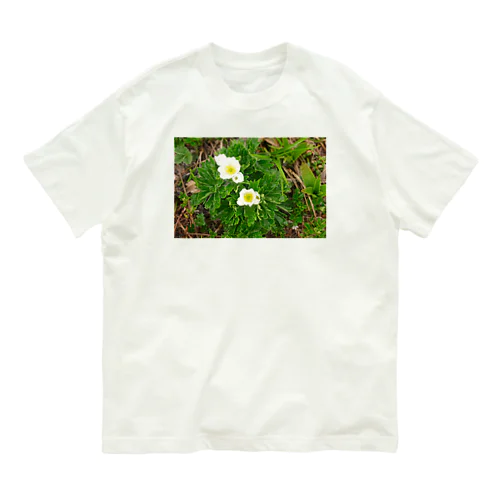 植物図鑑 ハクサンイチゲ② Organic Cotton T-Shirt