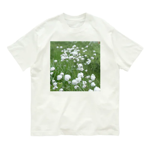 雨に濡れるワタスゲ Organic Cotton T-Shirt