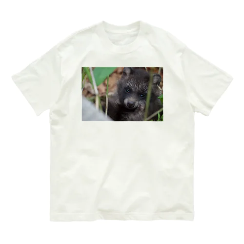 たぬきの赤ちゃん釧路湿原 Organic Cotton T-Shirt
