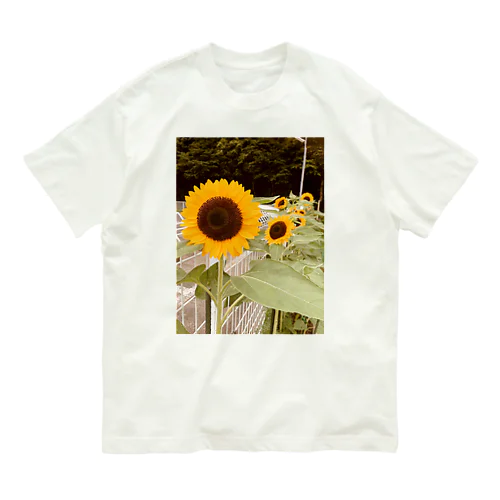 サンフラワー🌻 オーガニックコットンTシャツ