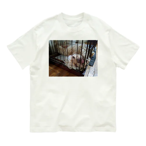 dog オーガニックコットンTシャツ