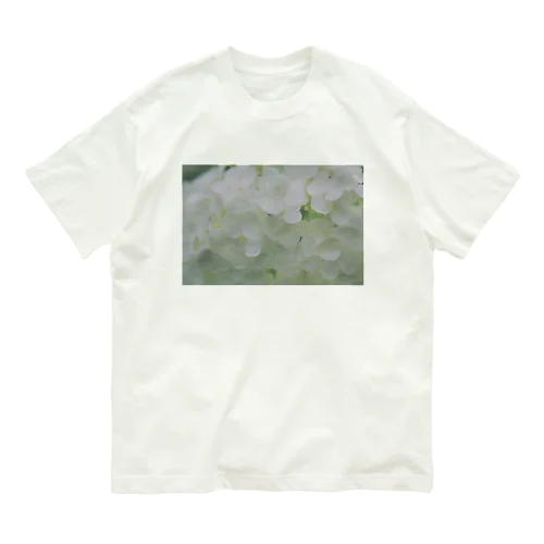 雨と白い紫陽花 オーガニックコットンTシャツ