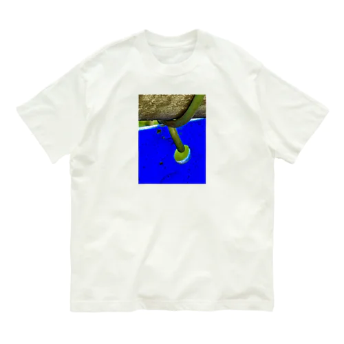 歩 オーガニックコットンTシャツ