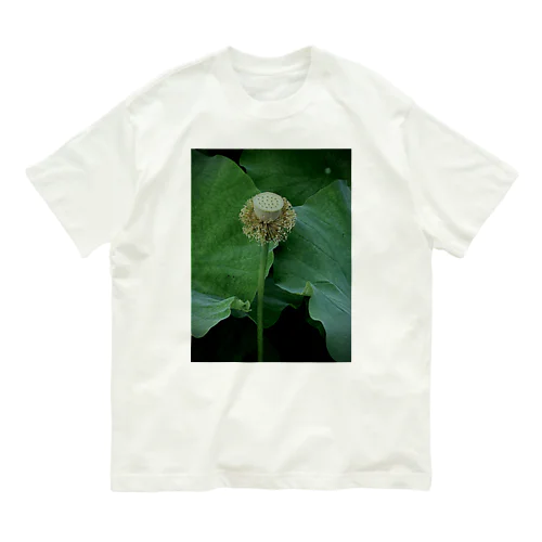 花拓 オーガニックコットンTシャツ