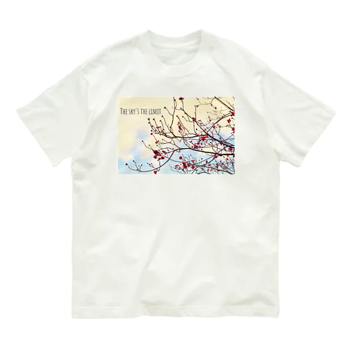 The sky’s the limit!  オーガニックコットンTシャツ