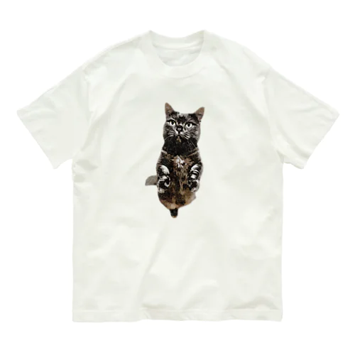 ぬん 黒猫 どっちだ？ マンチカン Organic Cotton T-Shirt