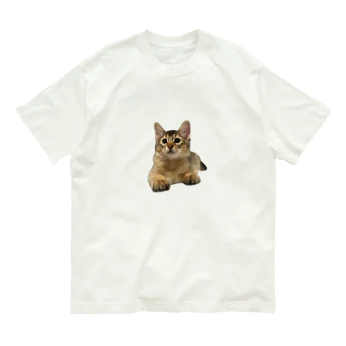 baby瑠偉ちゃん オーガニックコットンTシャツ