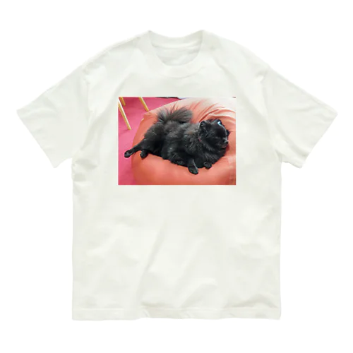 寝る犬 オーガニックコットンTシャツ