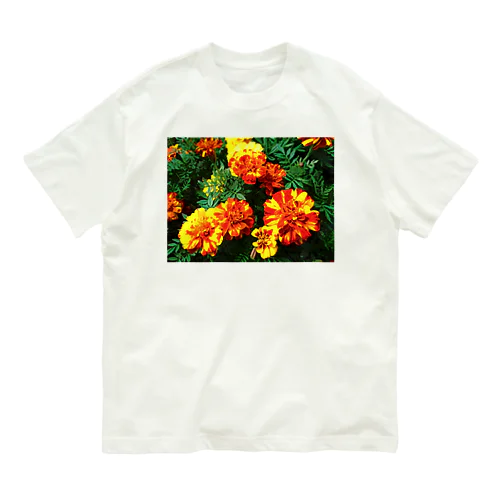 パッと輝いて!! Organic Cotton T-Shirt