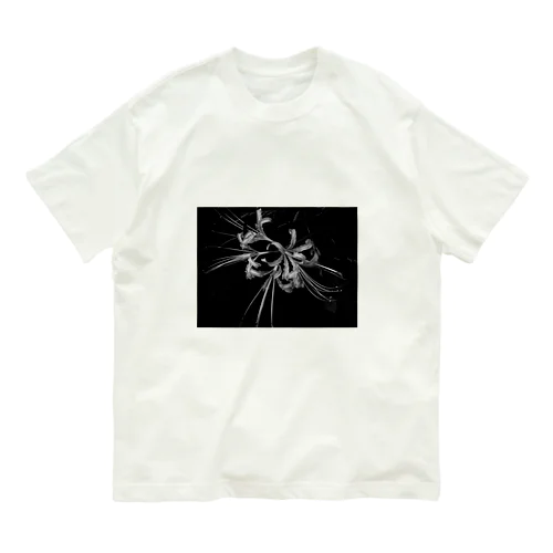 彼岸花　白 Organic Cotton T-Shirt