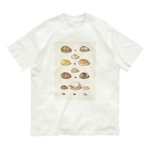 貝殻　いろいろ Organic Cotton T-Shirt