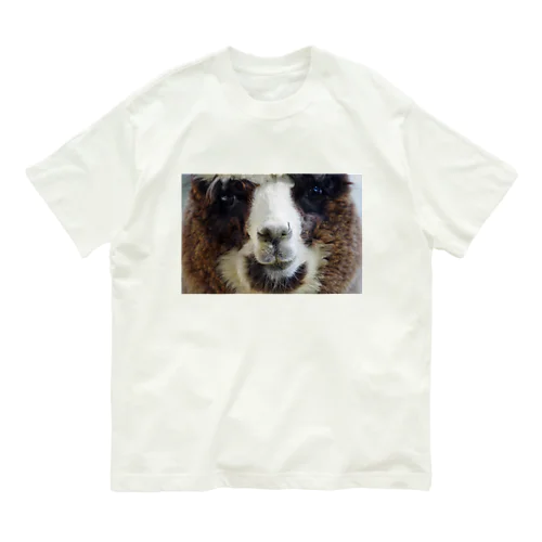 どあっぷ（アルパカさん） Organic Cotton T-Shirt