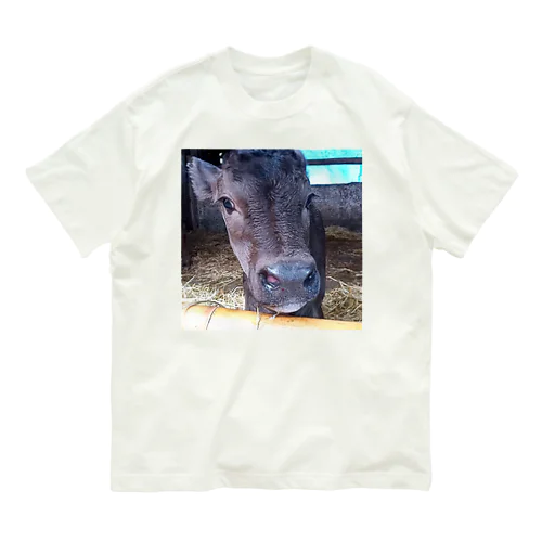 牛　かわいい オーガニックコットンTシャツ