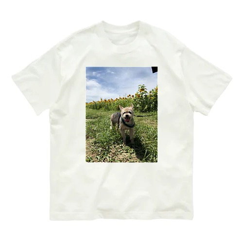 ろいと向日葵 Organic Cotton T-Shirt