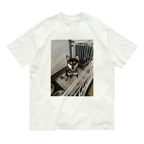 黒柴テンちゃん Organic Cotton T-Shirt