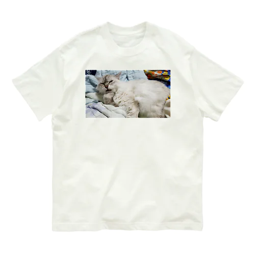 ねこ オーガニックコットンTシャツ