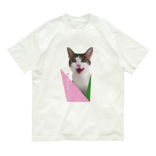 にゃんげシリーズ＜おりぶ＞　Nyange Rib Organic Cotton T-Shirt