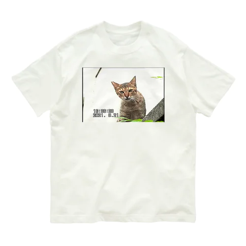 miniDVテープ「猫」 Organic Cotton T-Shirt