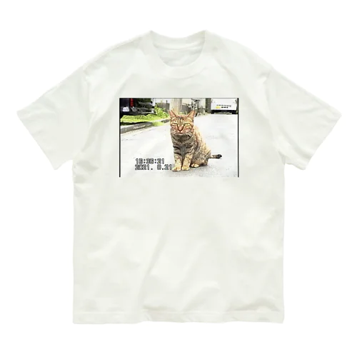 miniDVテープ「座る猫」 オーガニックコットンTシャツ