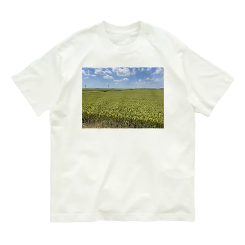 田舎を思い出したい時に着る服　もうすぐ稲刈り オーガニックコットンTシャツ
