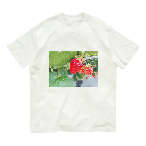 ストロベリーちゃん Organic Cotton T-Shirt