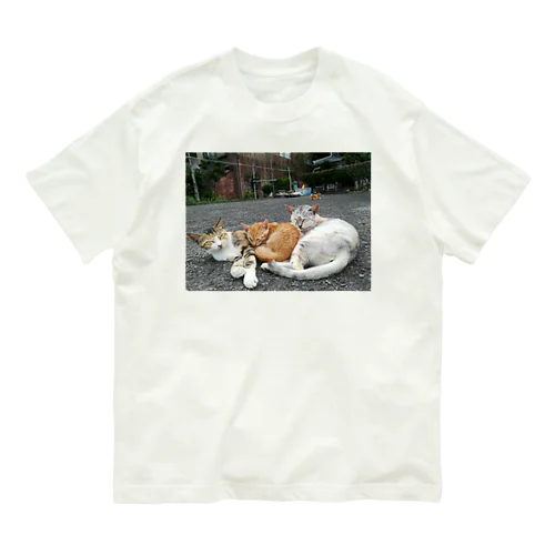 ひなたぼっこ猫ちゃんず オーガニックコットンTシャツ