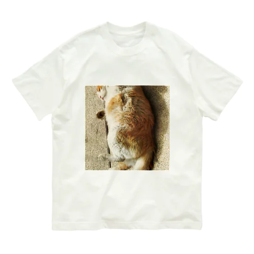 ころころ猫 オーガニックコットンTシャツ