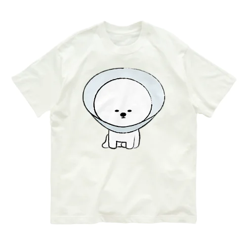 まんまるビション（エリザベスカラー） オーガニックコットンTシャツ