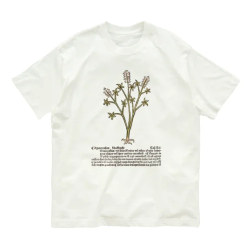 草 オーガニックコットンTシャツ