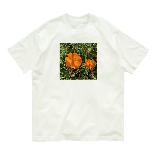 キバナコスモス Organic Cotton T-Shirt