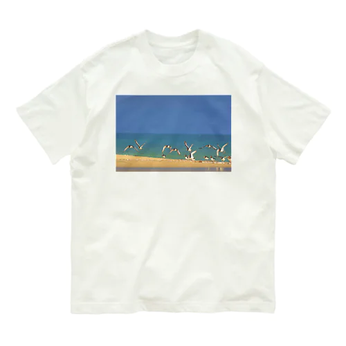 ミヤコドリ オーガニックコットンTシャツ