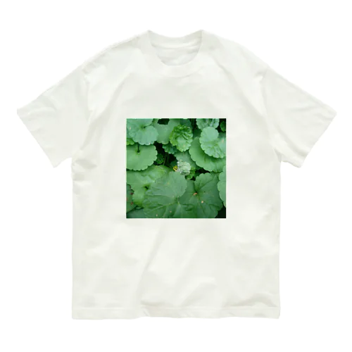 ニホンアマガエル A Organic Cotton T-Shirt