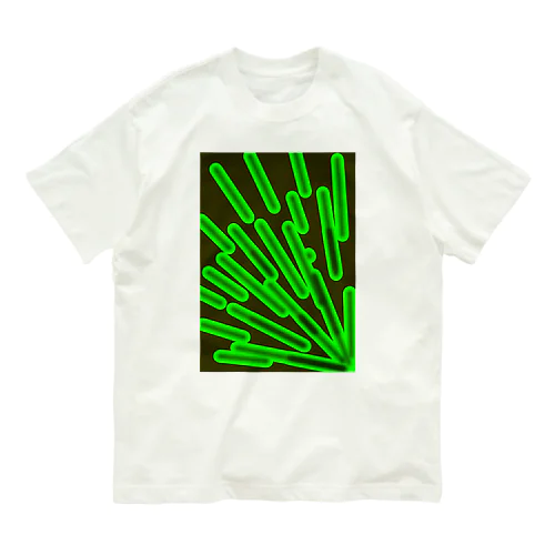 ブラックライト Organic Cotton T-Shirt