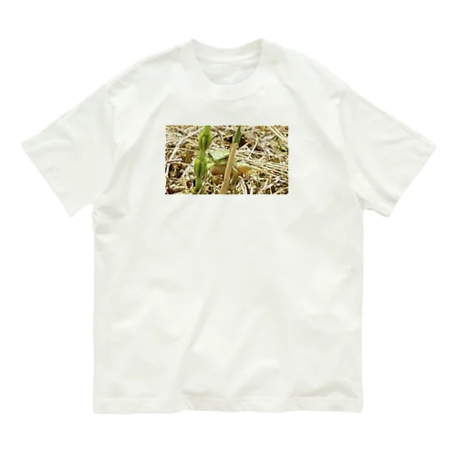 睨みをきかせるカエル Organic Cotton T-Shirt