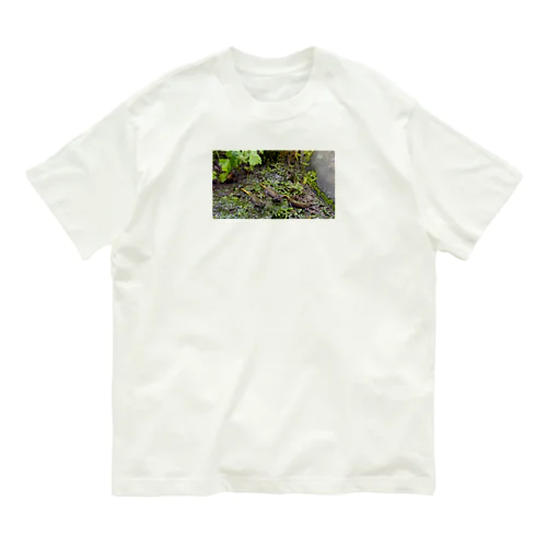 カスミん Organic Cotton T-Shirt