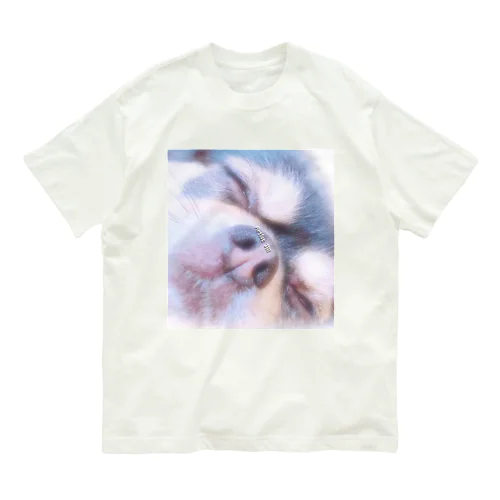 Kiss Me ちわわん オーガニックコットンTシャツ