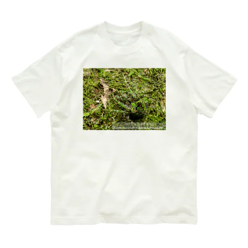 カクレコケオニグモ Organic Cotton T-Shirt