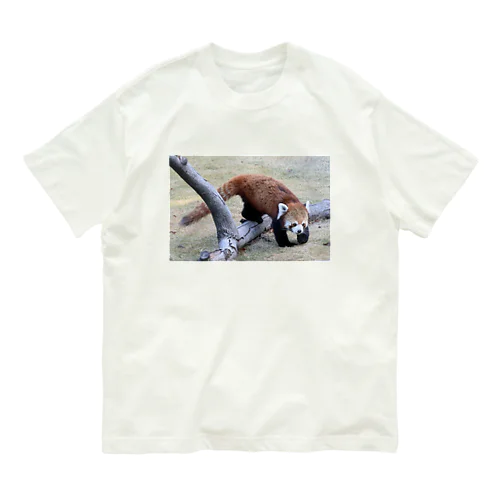 レッサーパンダ オーガニックコットンTシャツ