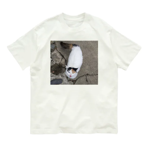 愛ちゃん Organic Cotton T-Shirt