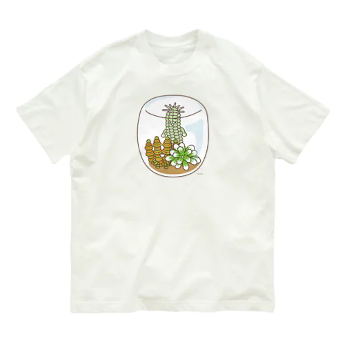 多肉植物たにくさん　（ガラスの水槽に集合） オーガニックコットンTシャツ