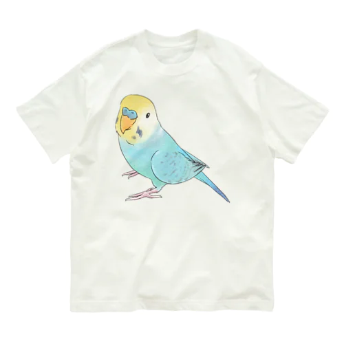 見上げるセキセイインコちゃん【まめるりはことり】 オーガニックコットンTシャツ