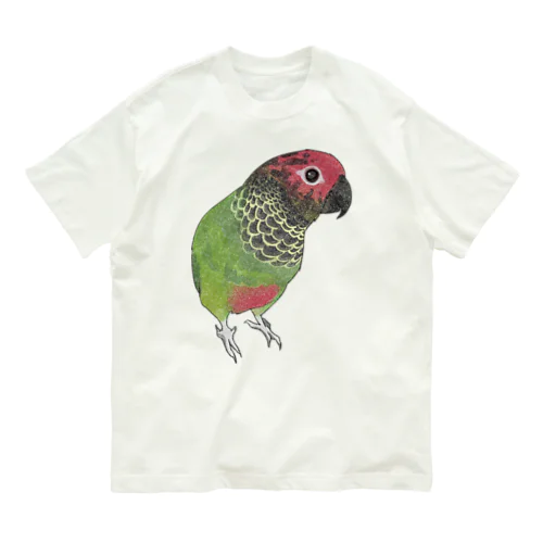 可愛いバライロビタイウロコインコちゃん【まめるりはことり】 オーガニックコットンTシャツ